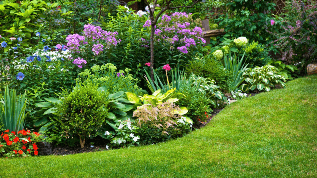 Réalisation jardin