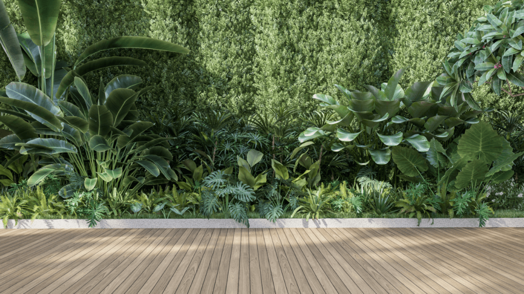 Terrasse en bois et création de jardin
